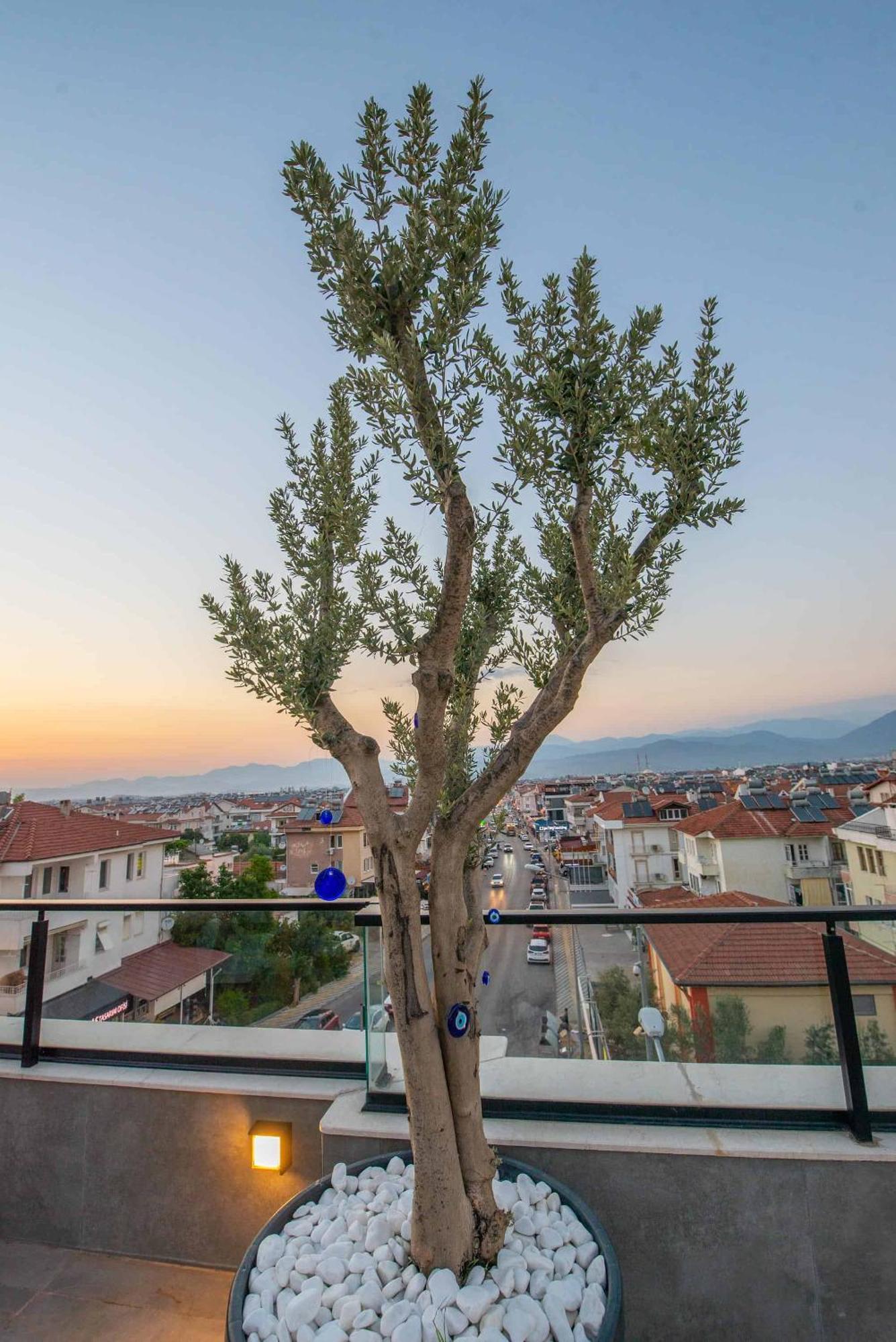 Belci City House Fethiye Exteriér fotografie